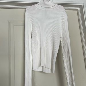 Zara Turtleneck sweater